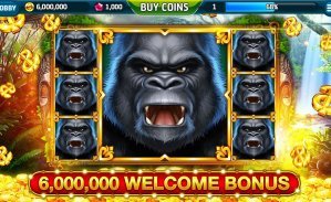 6686 bet