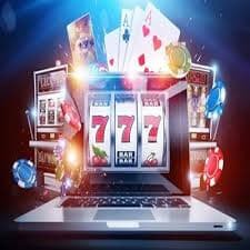 6686 bet